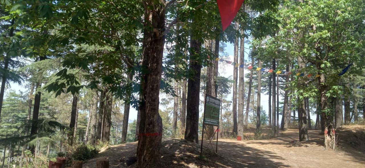 Evergreen Home Stay Almora Exterior foto