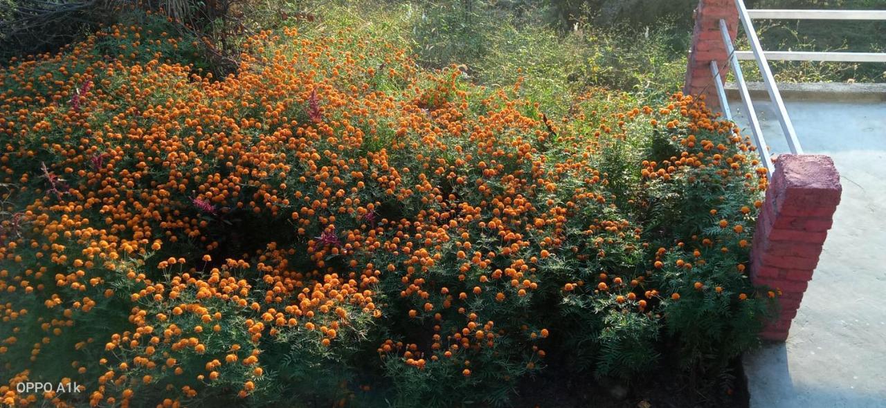 Evergreen Home Stay Almora Exterior foto