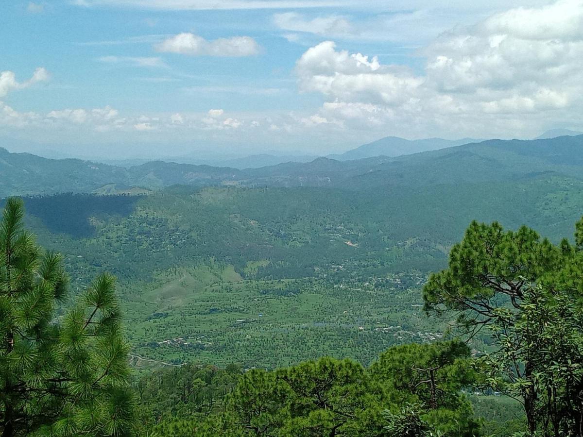 Evergreen Home Stay Almora Exterior foto