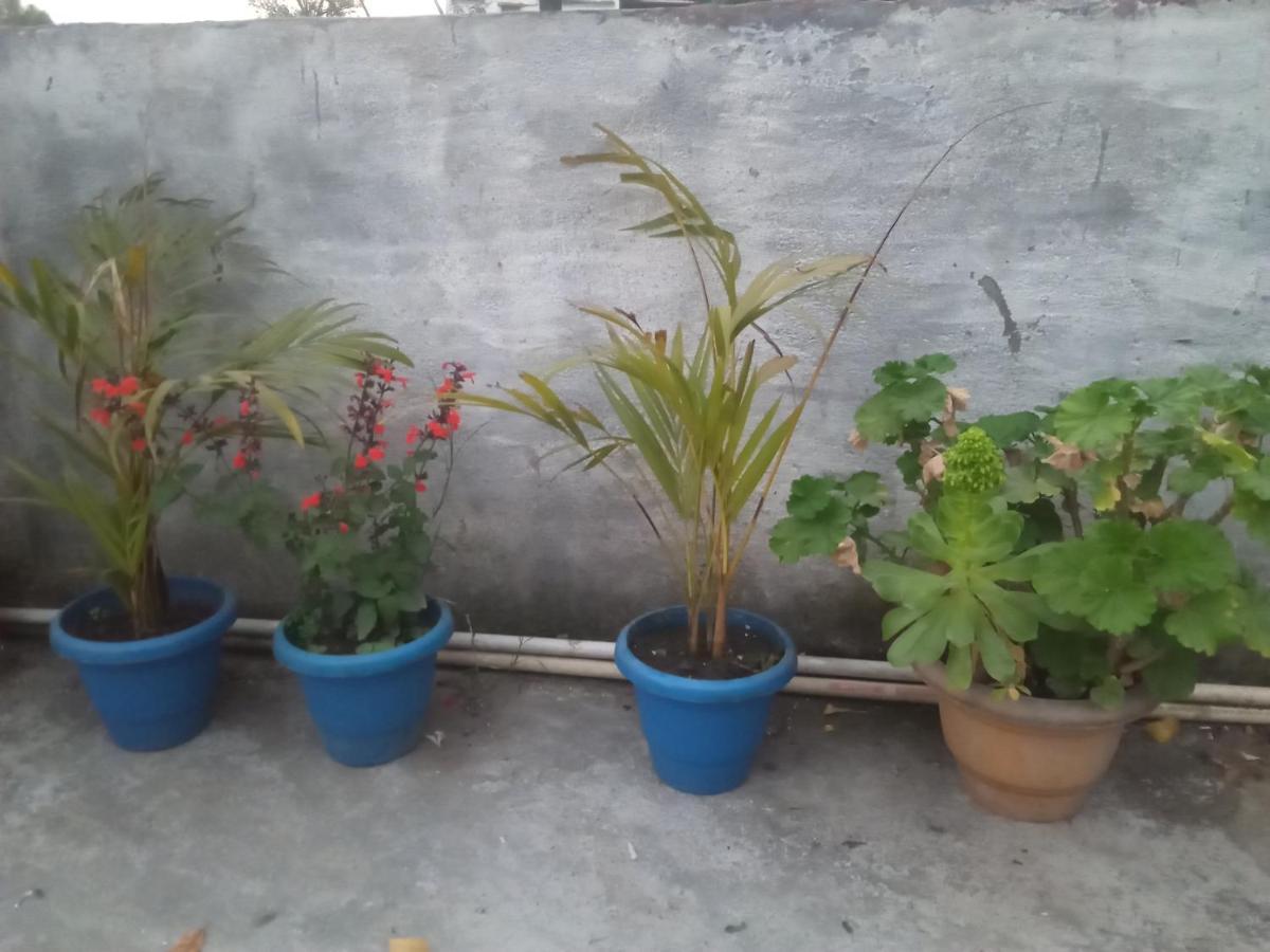 Evergreen Home Stay Almora Exterior foto